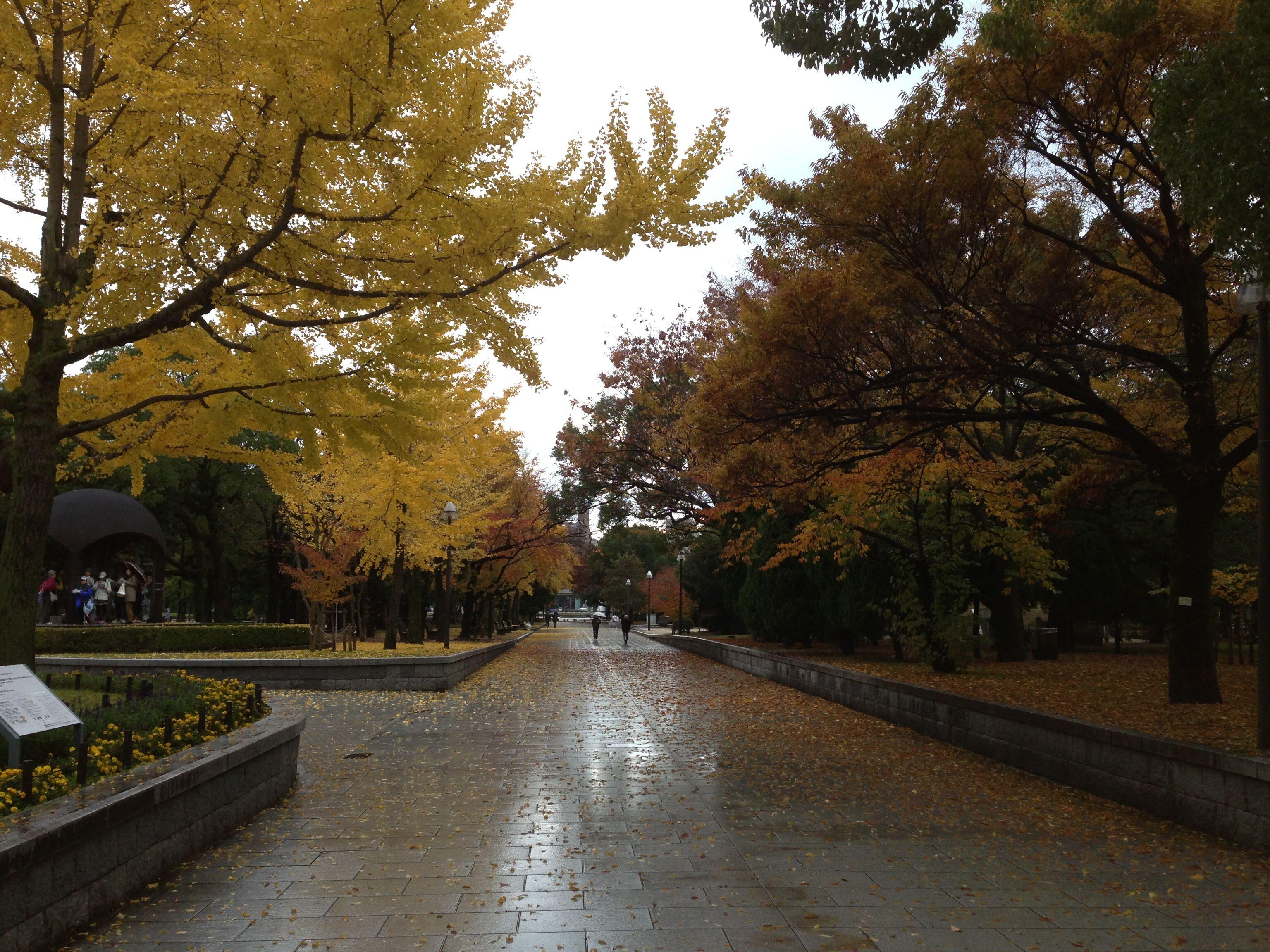 広島平和記念公園の黄葉