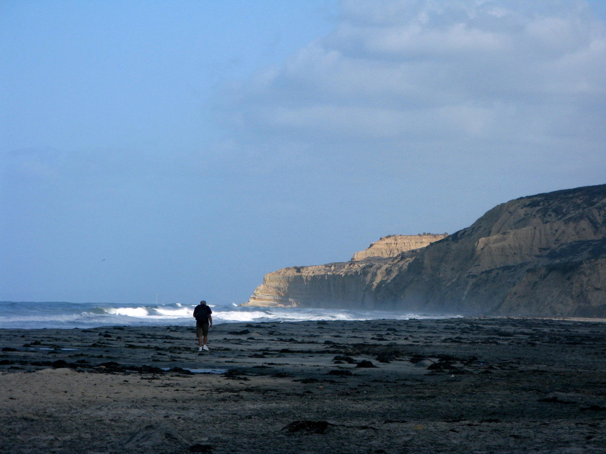 Black's Beach