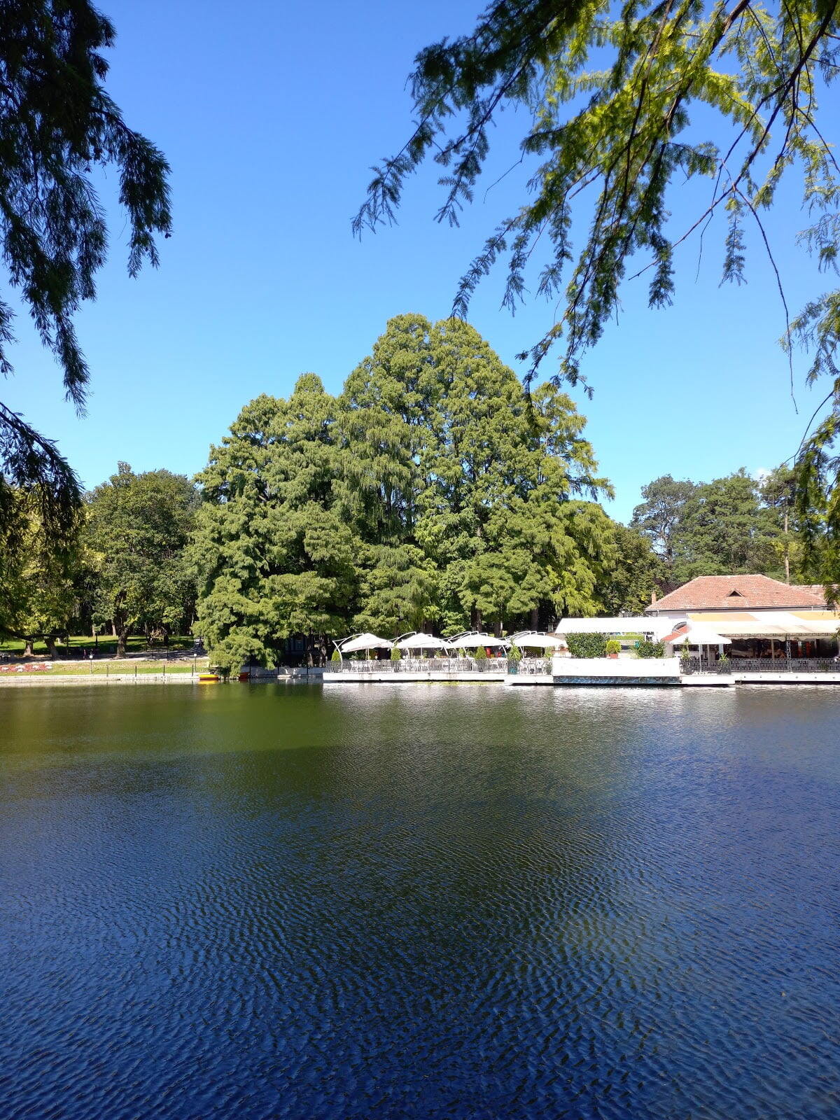 Nicolae Romanescu Park