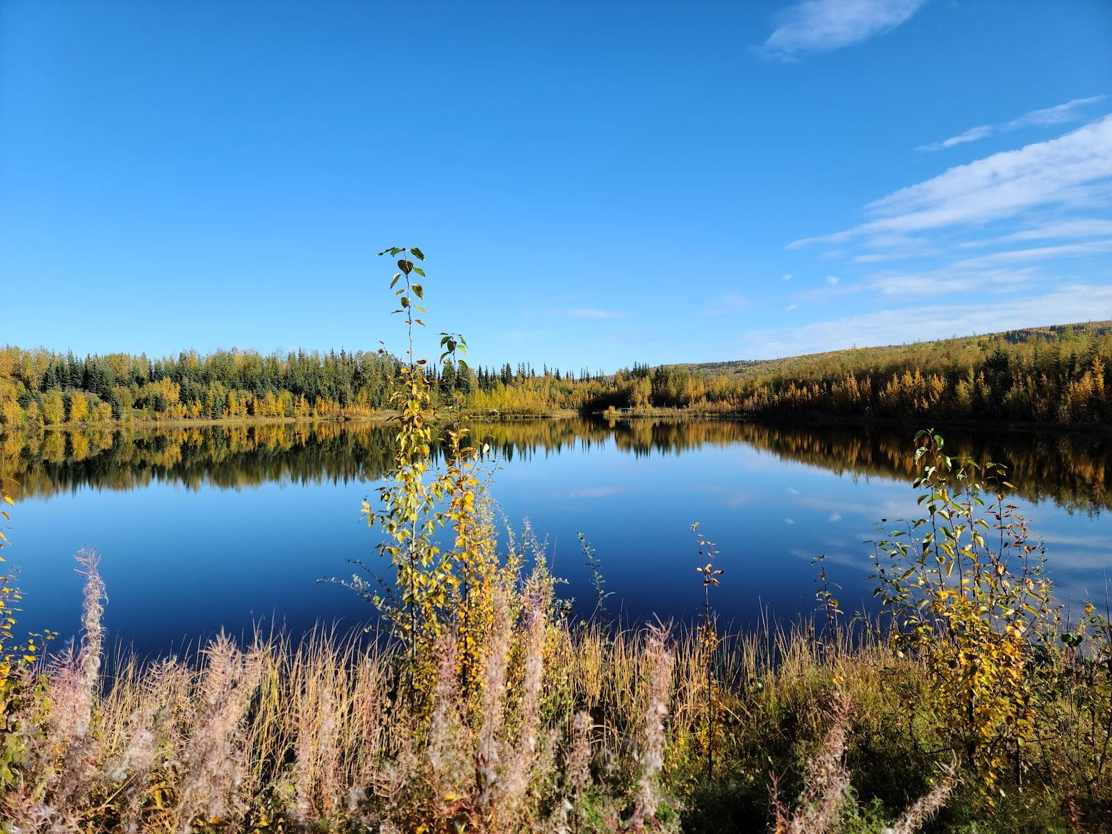 Wedgewood Wildlife Sanctuary