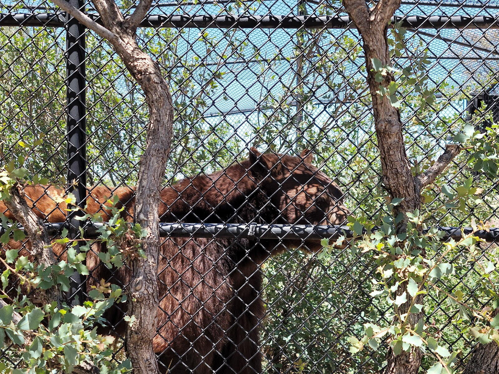 Heritage Park Zoological Sanctuary