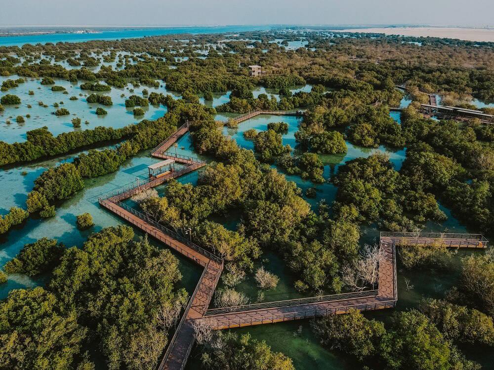 Jubail Mangrove Park