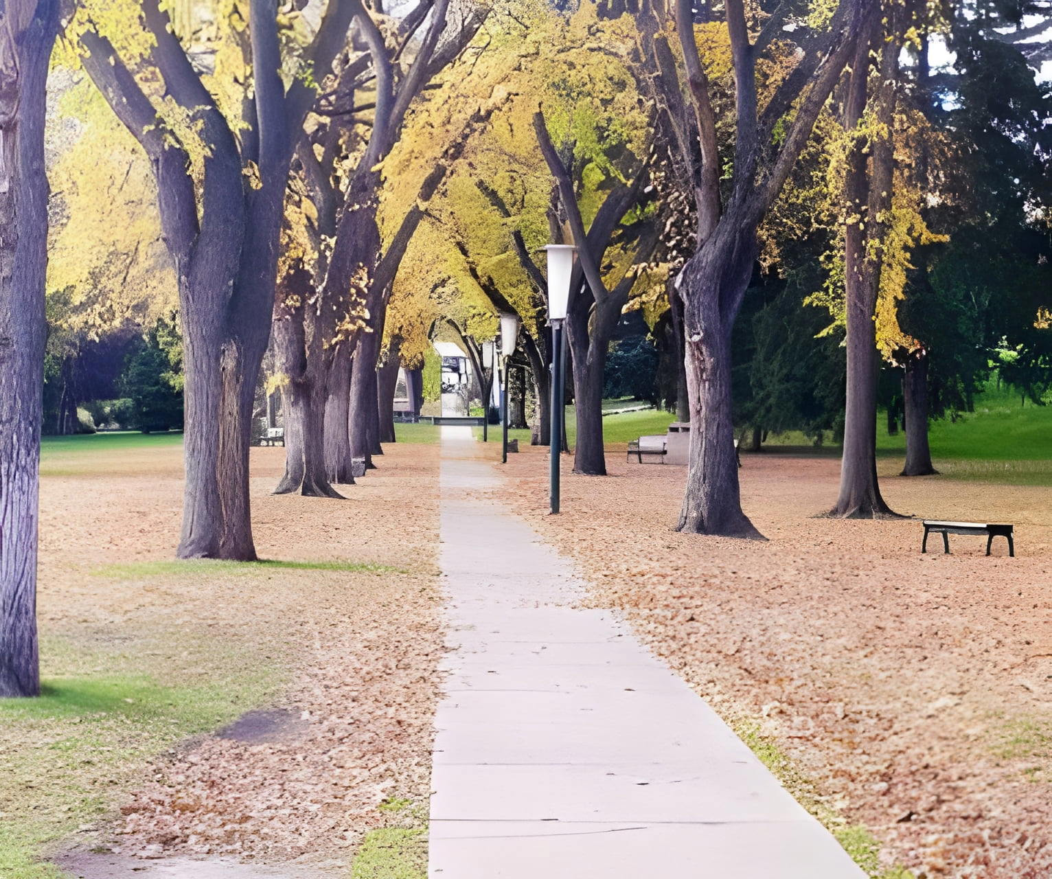 Victoria Park Oval