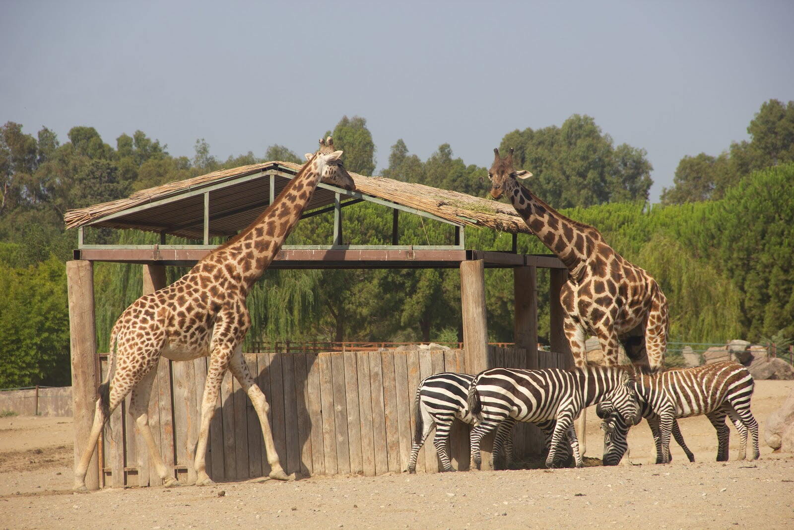 Izmir Wildlife Park