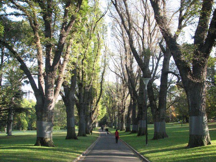 Fitzroy Gardens