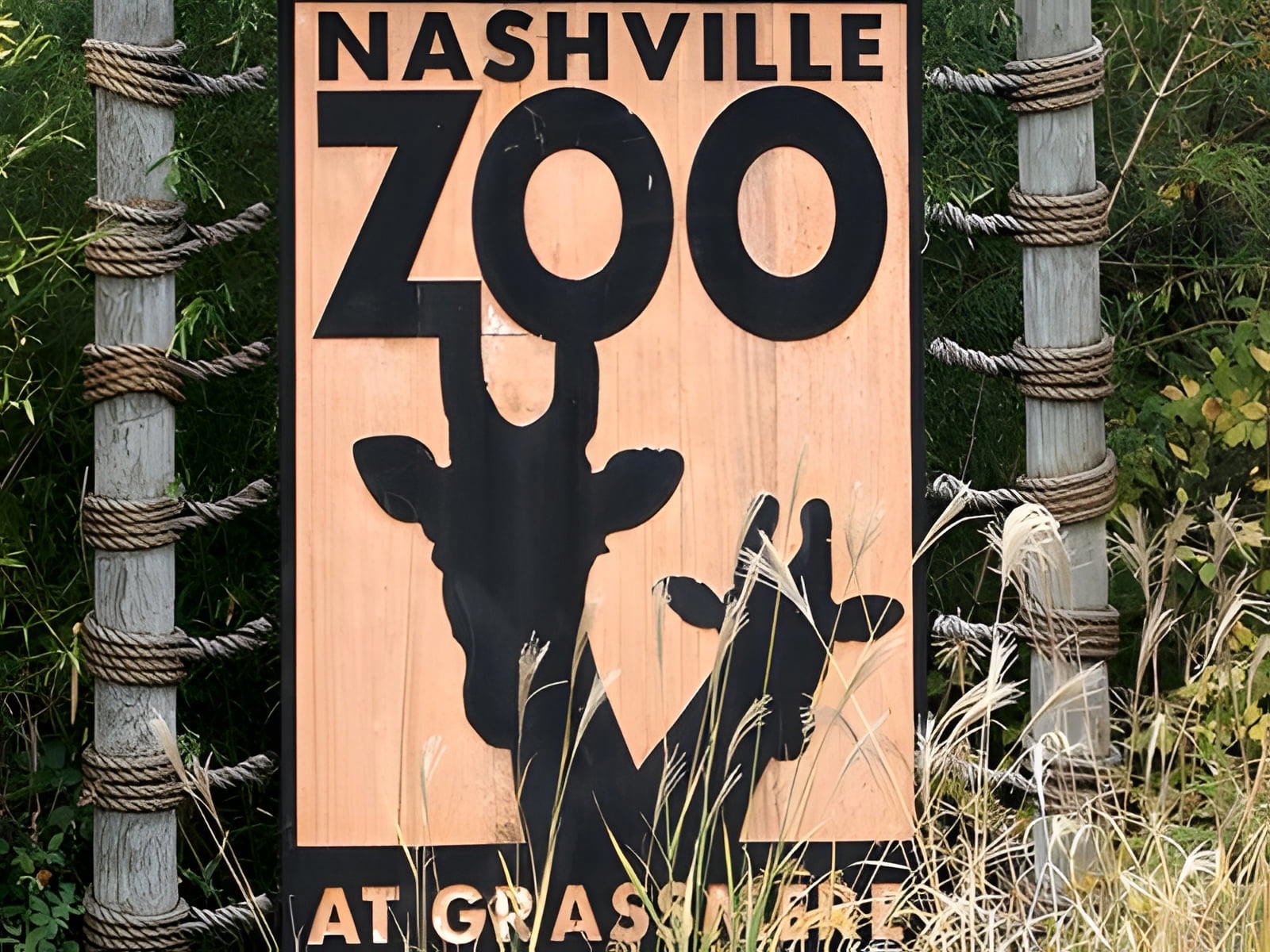 Nashville Zoo