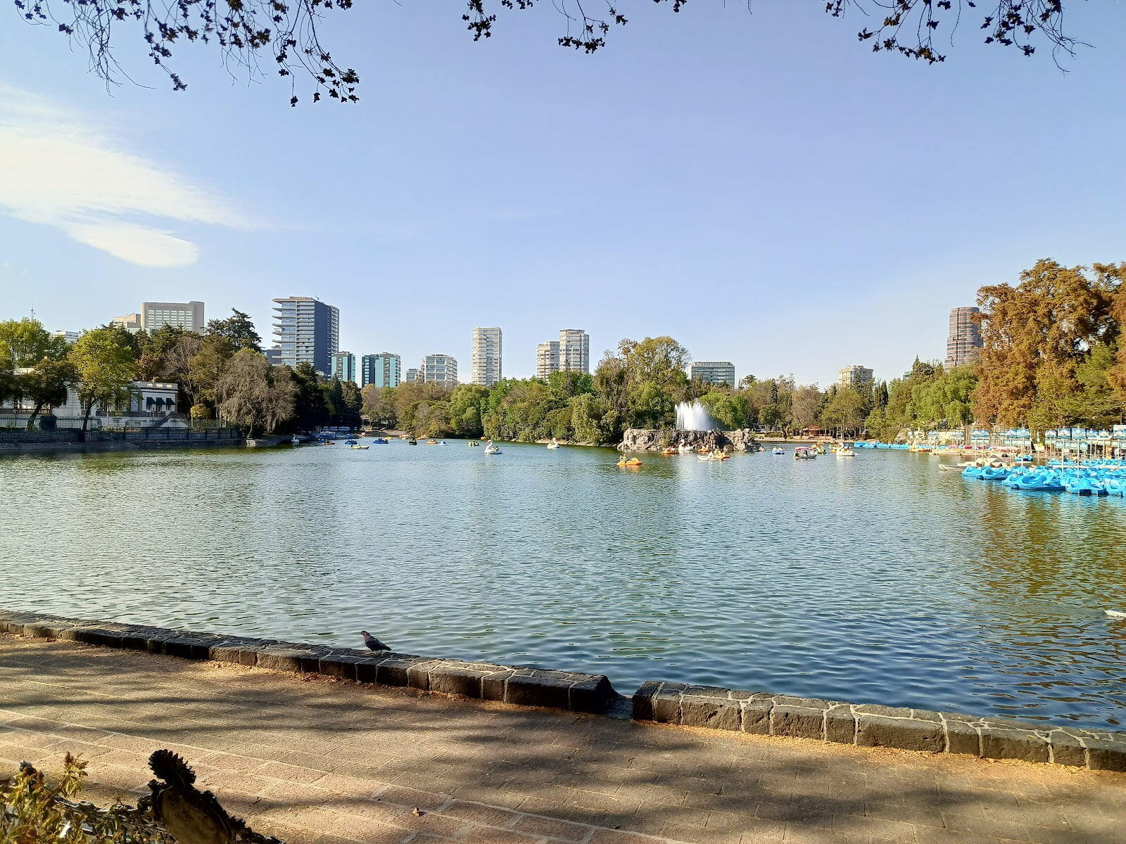 Bosque de Chapultepec